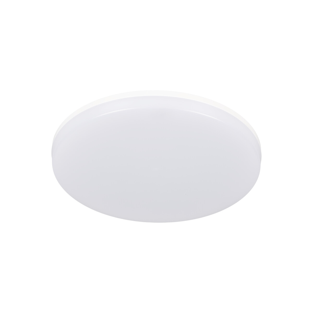 1706846154 - main_30607.jpg