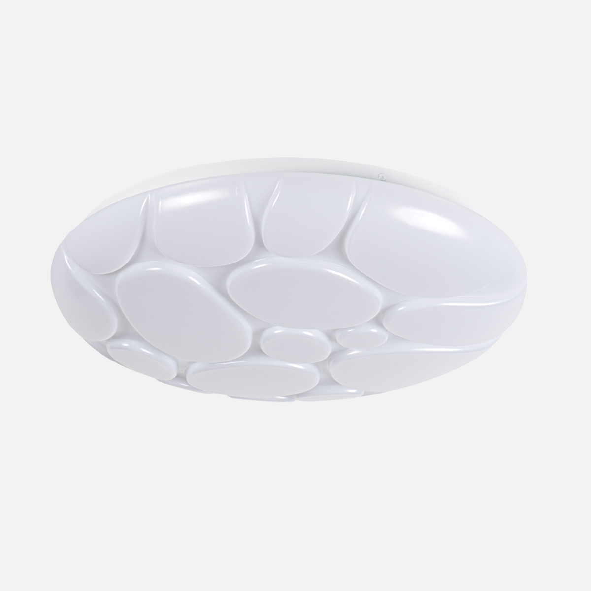 1737536971 - main_66528.png