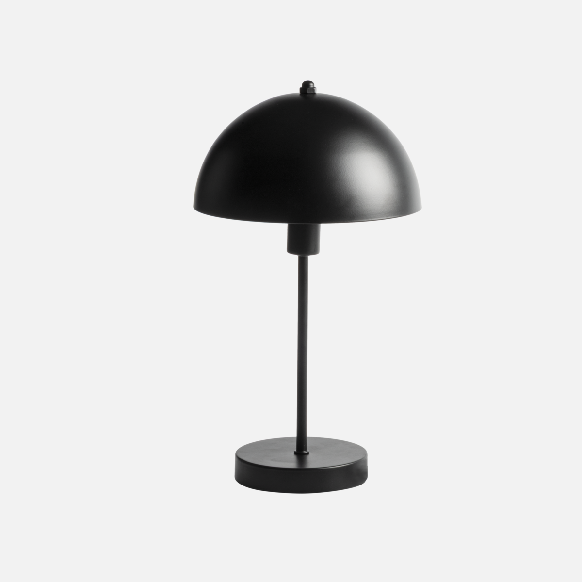 1743577313 - main_66555.png