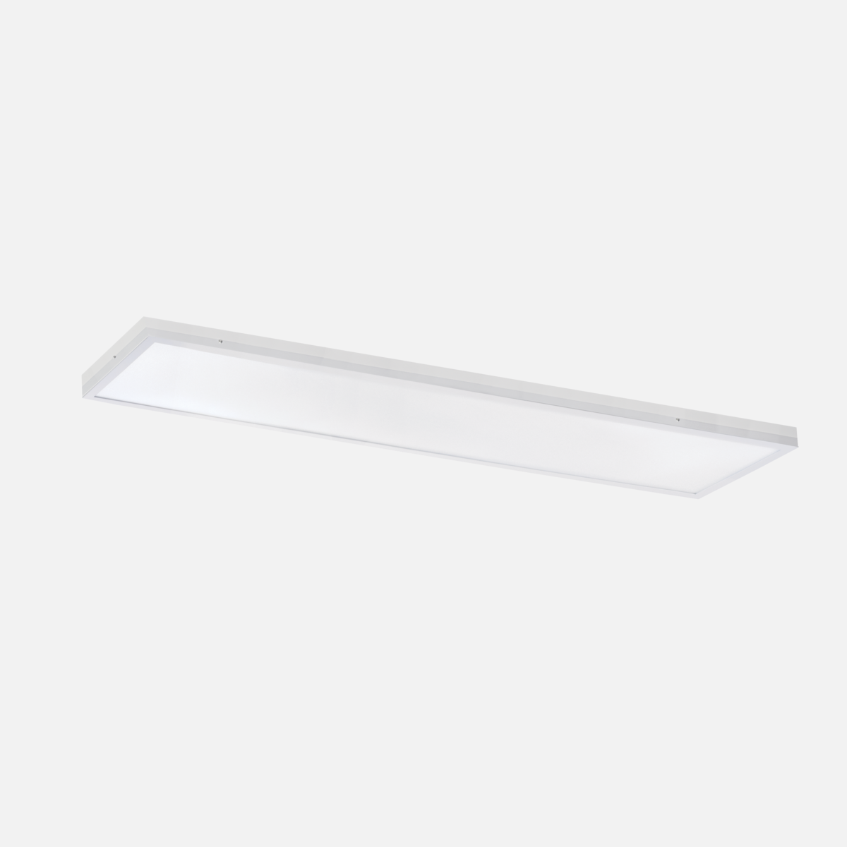 1745355443 - main_66657.png