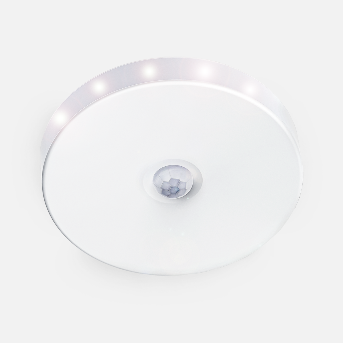 1771338024 - main_66787.png