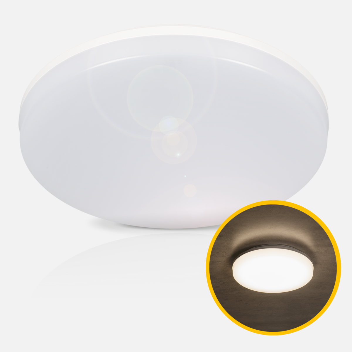 1774862261 - main_66916.png