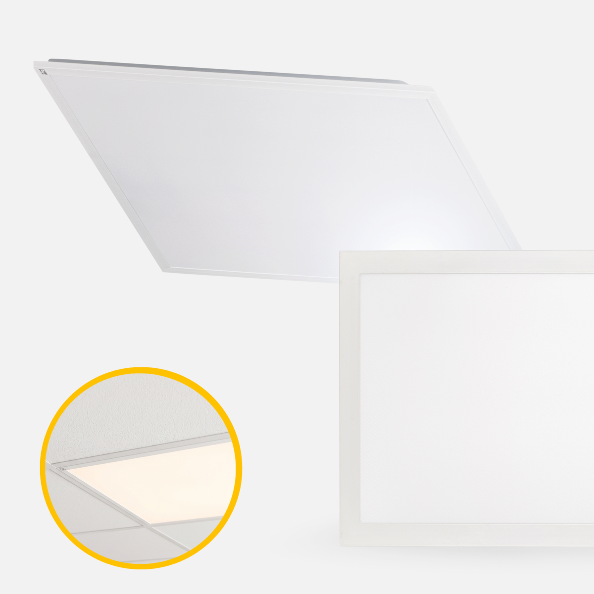 1787038876 - main_67062.png