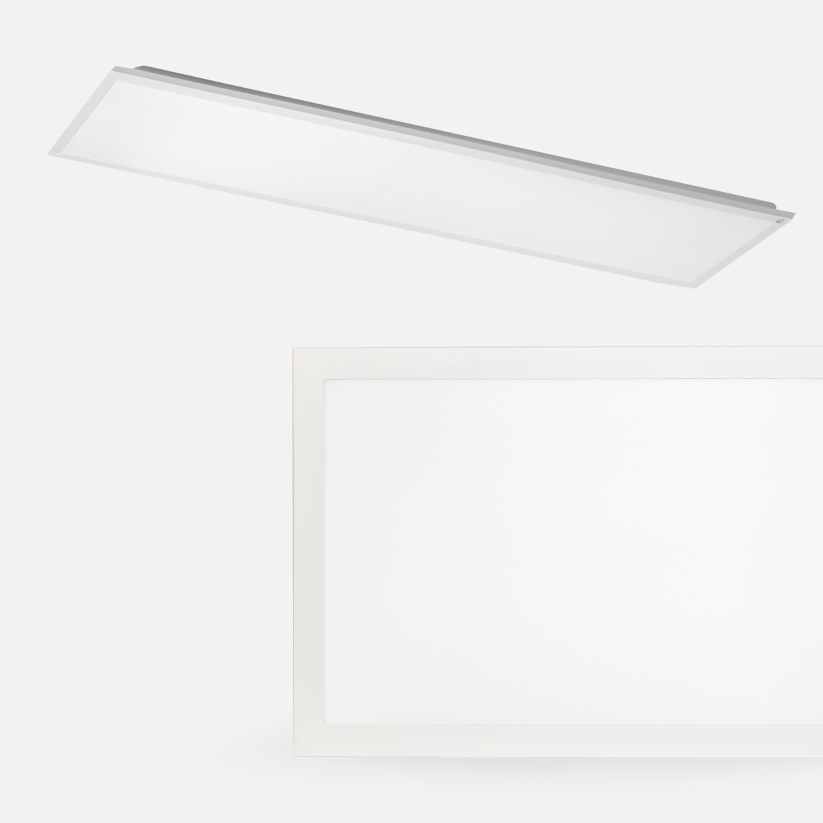 1786713679 - main_67064.png